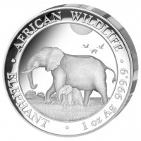 Somalia 2022 Elephant Ag999 1oz