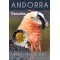 Andorra 2025 The bearded vulture