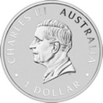 Australia 2024 Koala 1 oz Ag999