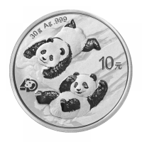 China 2022 Panda Ag999 30g.