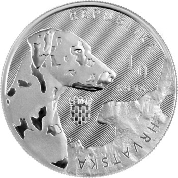 Croatia  2021 Dalmatian Dog