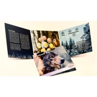 Finland 2026 World Money Fair Berlin Euro coin BU set