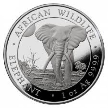 Somalia 2025 Elephant Ag999 1 oz BU